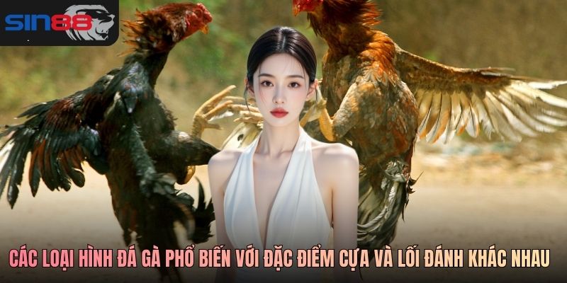 Các loại hình đá gà phổ biến với đặc điểm cựa và lối đánh khác nhau